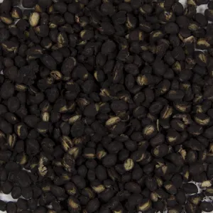 Harmony House Black Beans (25 lbs)