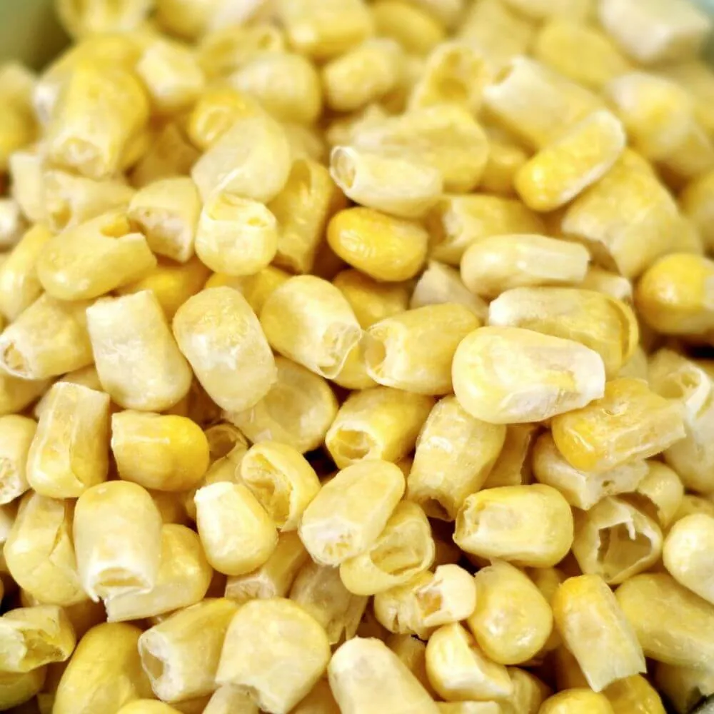 Rainy Day Foods Freeze-Dried Super Sweet Corn 6 (Case of Six) #10 Cans - 136 Servings