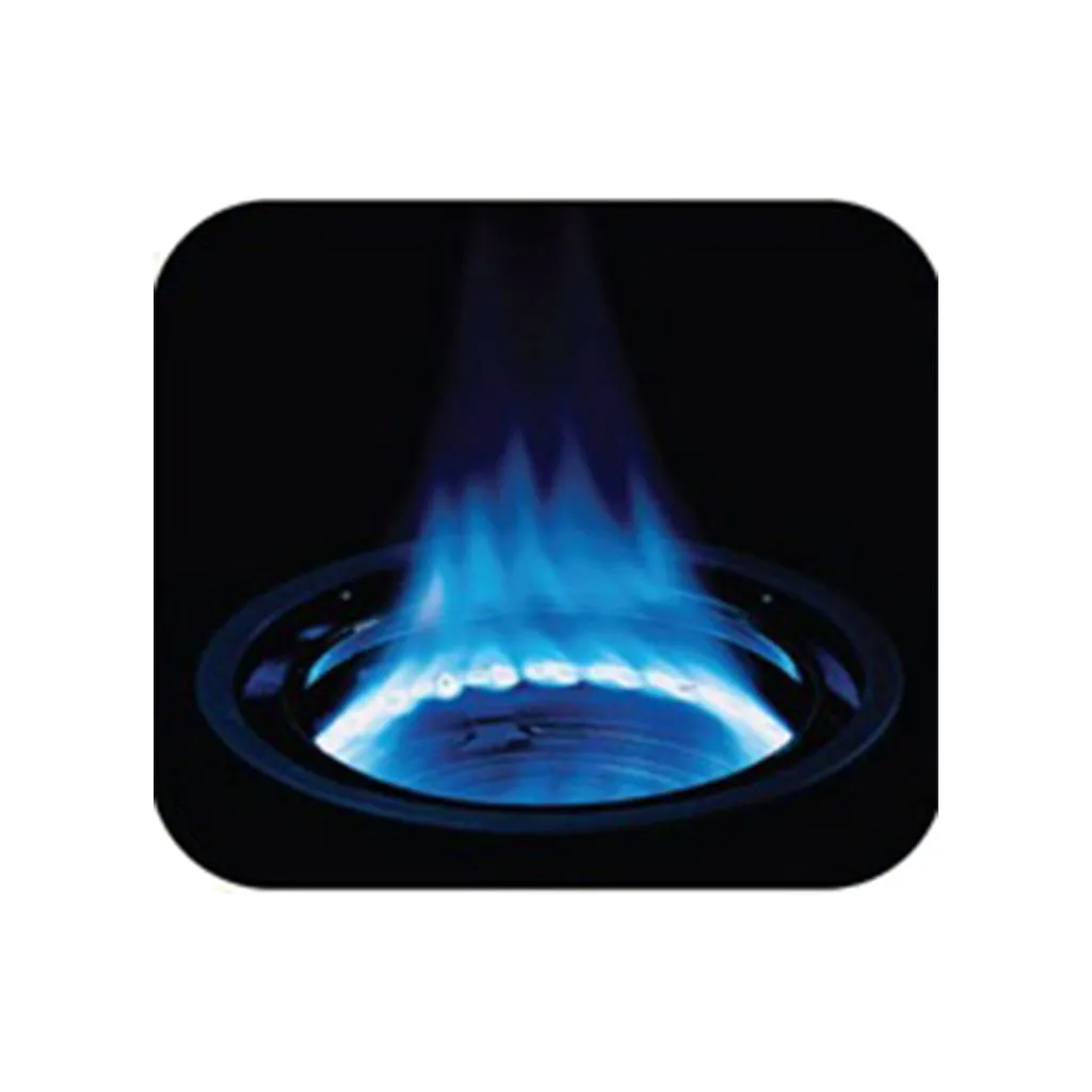 Rinnai RI-712SI Inner Burner Gas Stove