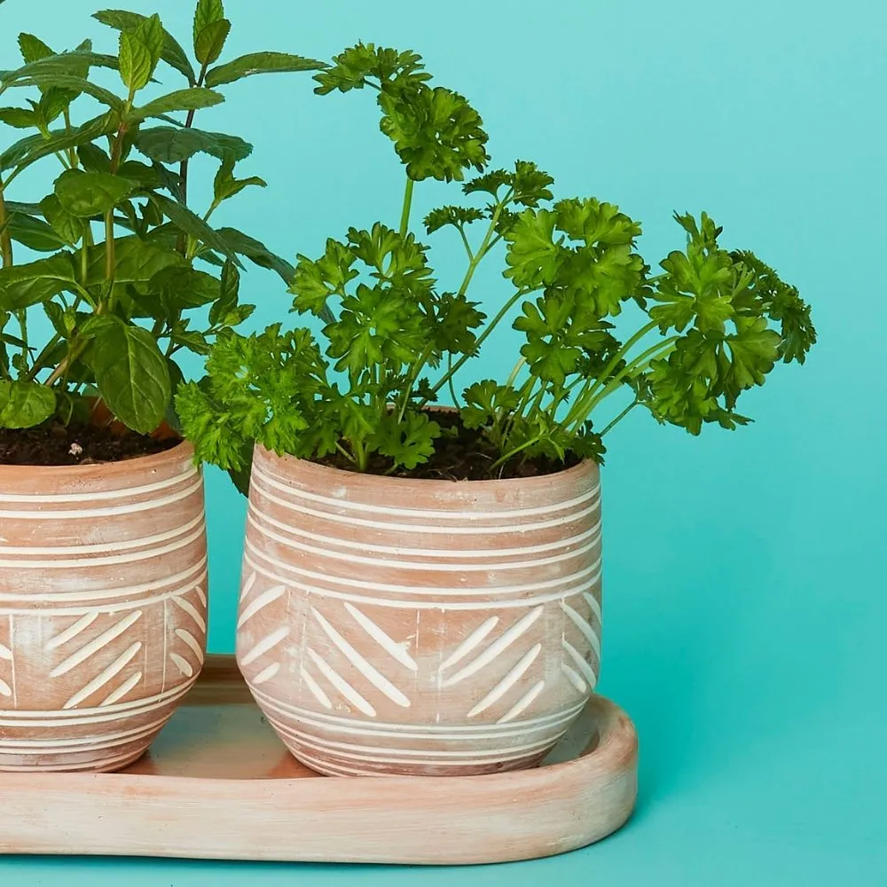 Small Terracotta Pot Tray Set