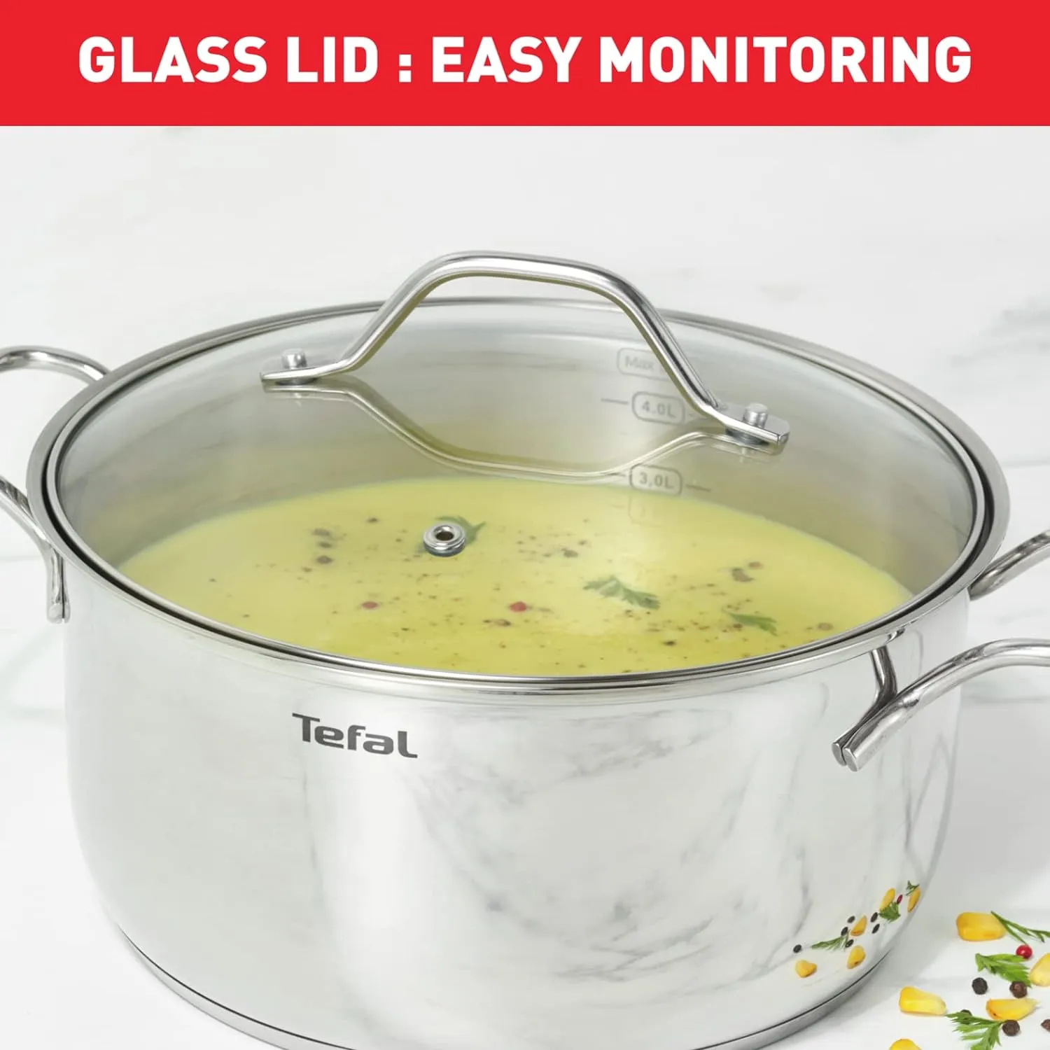 Tefal, Intuition Casserole /Cooking Pot 24 cm with Lid 5 liters