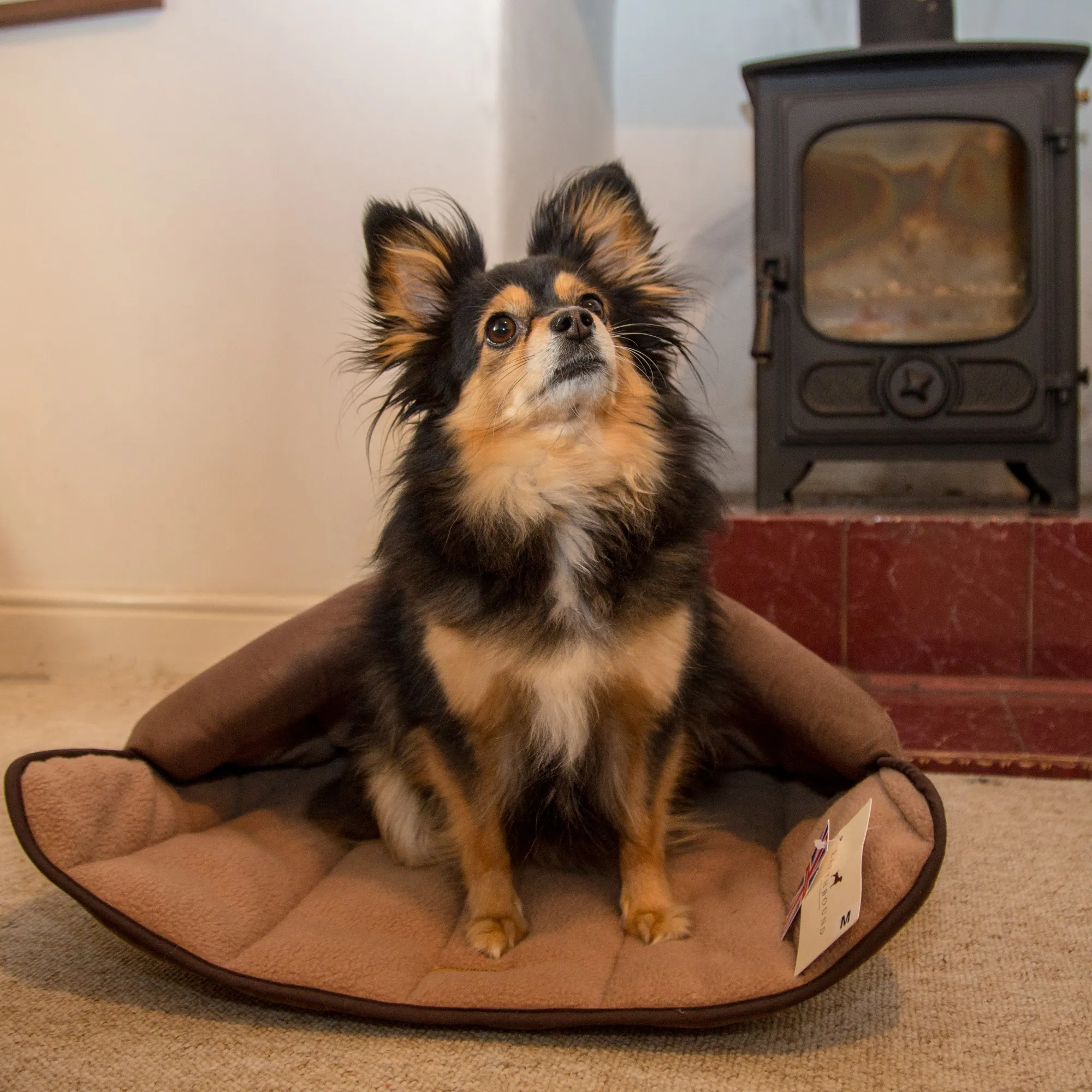 Terrier Tunnel